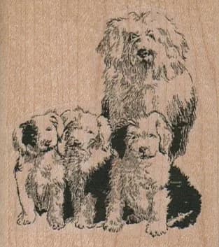 Old English Family 2 1/4 X 2 1/2