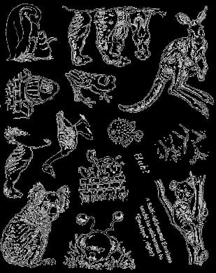 Plate 527