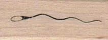 Sperm 3/4 x 1 1/2