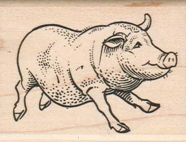 Porker 2 X 2 1/2