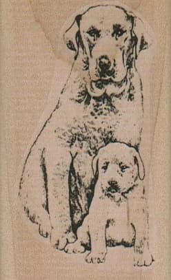 Mother And Pup 1 3/4 X 2 3/4