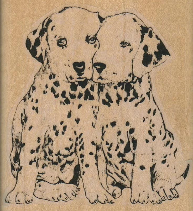 Spotted Pup Friends 2 1/2 X 2 3/4