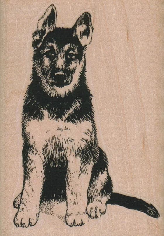 German Shepherd 2 X 2 3/4