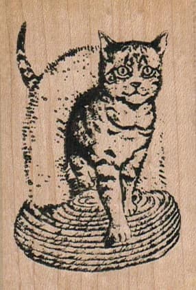 Kitty In Hoop 2 X 3