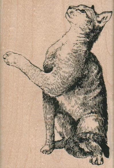 Kitty Pawing 2 3/4 X 4