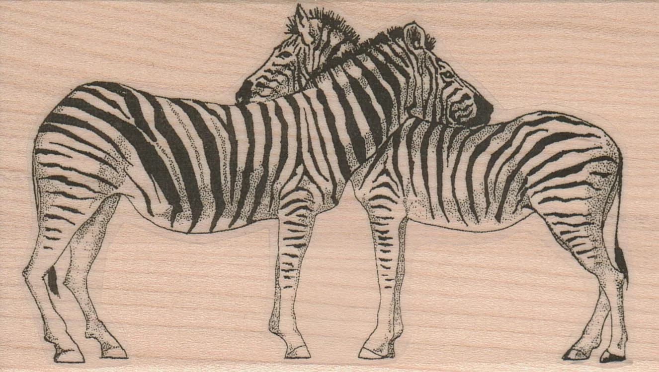 Zebra Pair 2 3/4 X 4 1/2