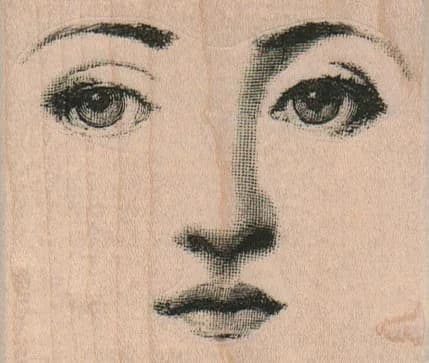 Facial Features 3 X 2 1/2