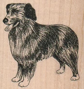 Australian Shepherd Dog 2 1/2 X 2 1/2