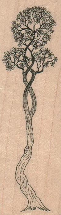 Twisted Tree 1 1/2 X 4 3/4