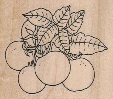 Tomatoes 2 3/4 X 2 1/4