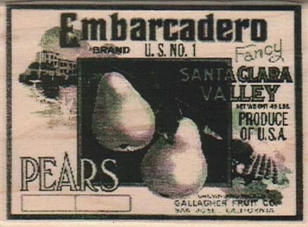 Embarcadero Pears Photo Image Label 2 1/4 X 3