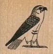 Falcon 1 1/4 X 1 1/4