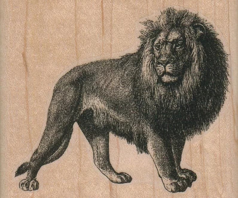 Lion Side View 2 3/4 X 2 1/4