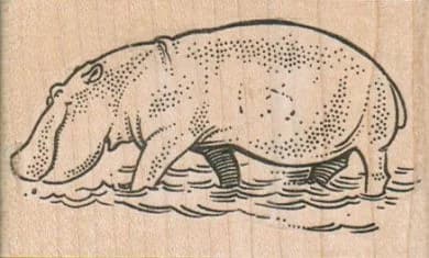 Hippo Wading 3 X 1 3/4