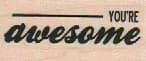 You're Awesome 3/4 X 1 1/2