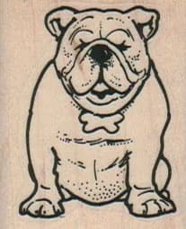 English Bulldog 1 1/2 X 1 3/4