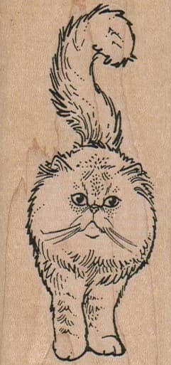 Fluffy Cat Front 1 3/4 X 3 1/2