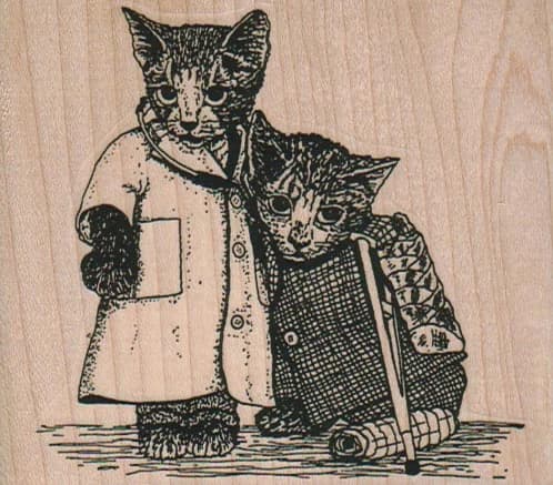 Cat Doctor And Patient 3 1/2 X 3