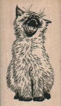 Screaming Cat 1 1/2 X 2 1/2