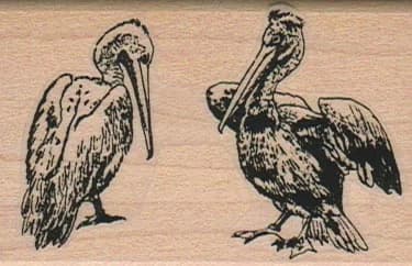 Two Pelicans 1 3/4 X 2 1/2
