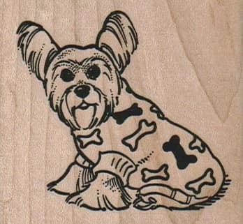 Yorkie In Bone Sweater 2 1/2 X 2 1/4