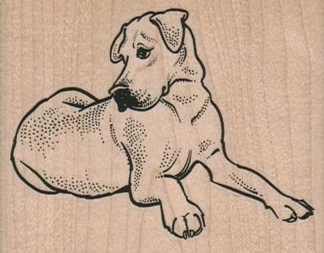 Lying Great Dane 3 1/4 X 2 1/2