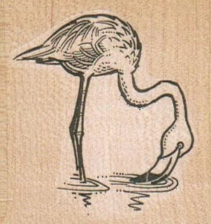 Flamingo Eating 2 1/4 X 2 1/4
