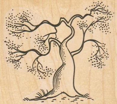 Japanese Tree 3 1/2 X 3