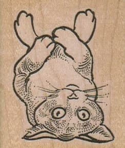 Cat Lying On Back 1 3/4 X 2