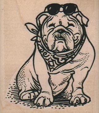 Bulldog With Scarf/glasses 2 1/4 X 2 1/2