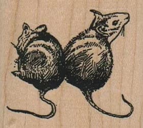 Two Rats/mice 2 X 1 3/4