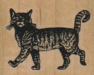 Haughty Cat 2 X 1 3/4
