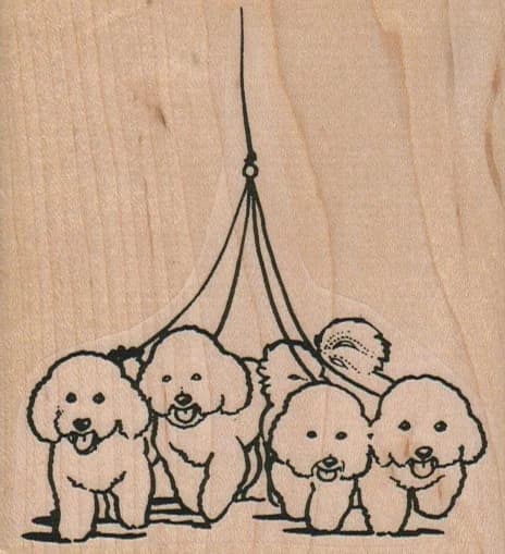 Bichon Quartet Walking 3 1/4 X 3 1/2