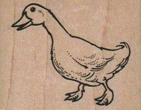 Walking Duck 2 X 1 1/2
