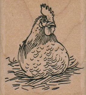 Hen Sitting On Nest 2 X 2 1/4