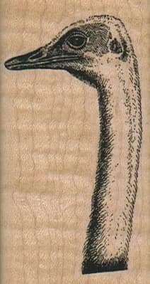 Ostrich Head/neck 1 1/2 X 2 3/4