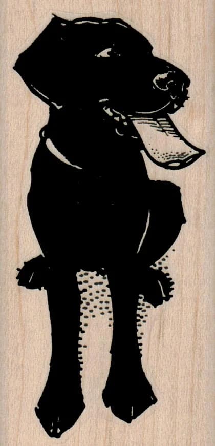 Black Lab Dog Tongue Hanging 1 1/2 X 3