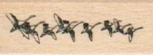 Flock O' Birds 3/4 X 1 1/2