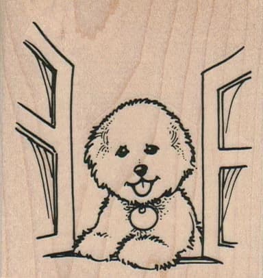 Bichon In Open Window 2 3/4 X 2 3/4