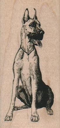 Great Dane Dog 1 1/2 X 3