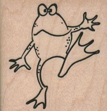 Frog Walking 2 X 2