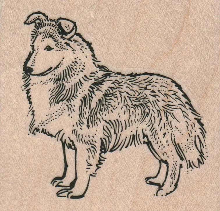 Shetland Sheep Dog 2 3/4 X 2 1/2