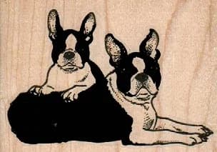 Boston Terrier Pair 3 1/4 X 2 1/4