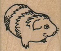 Guinea Pig Side 1 1/2 X 1 1/4