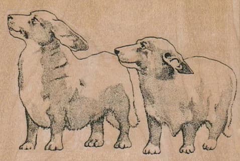 Corgis 3 1/4 X 2 1/4