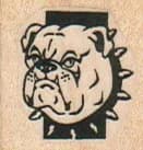 Bulldog With Spiked Collar 1 X 1