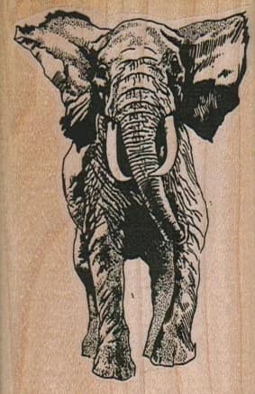 Raging Elephant 2 X 3
