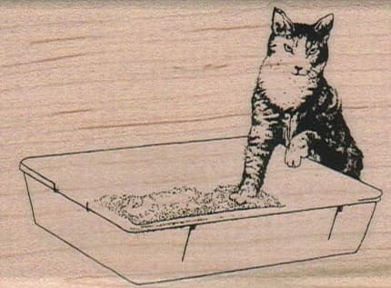 Kitty Testing Litter Box 2 1/4 X 3