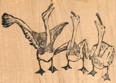 Pelican Trio 3 X 4 1/4