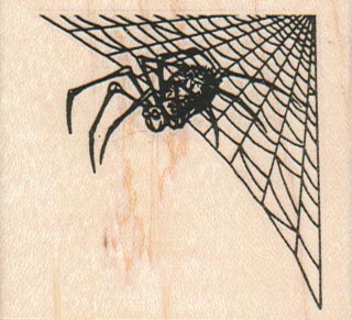 Spider And Web In Corner 2 1/4 x 2